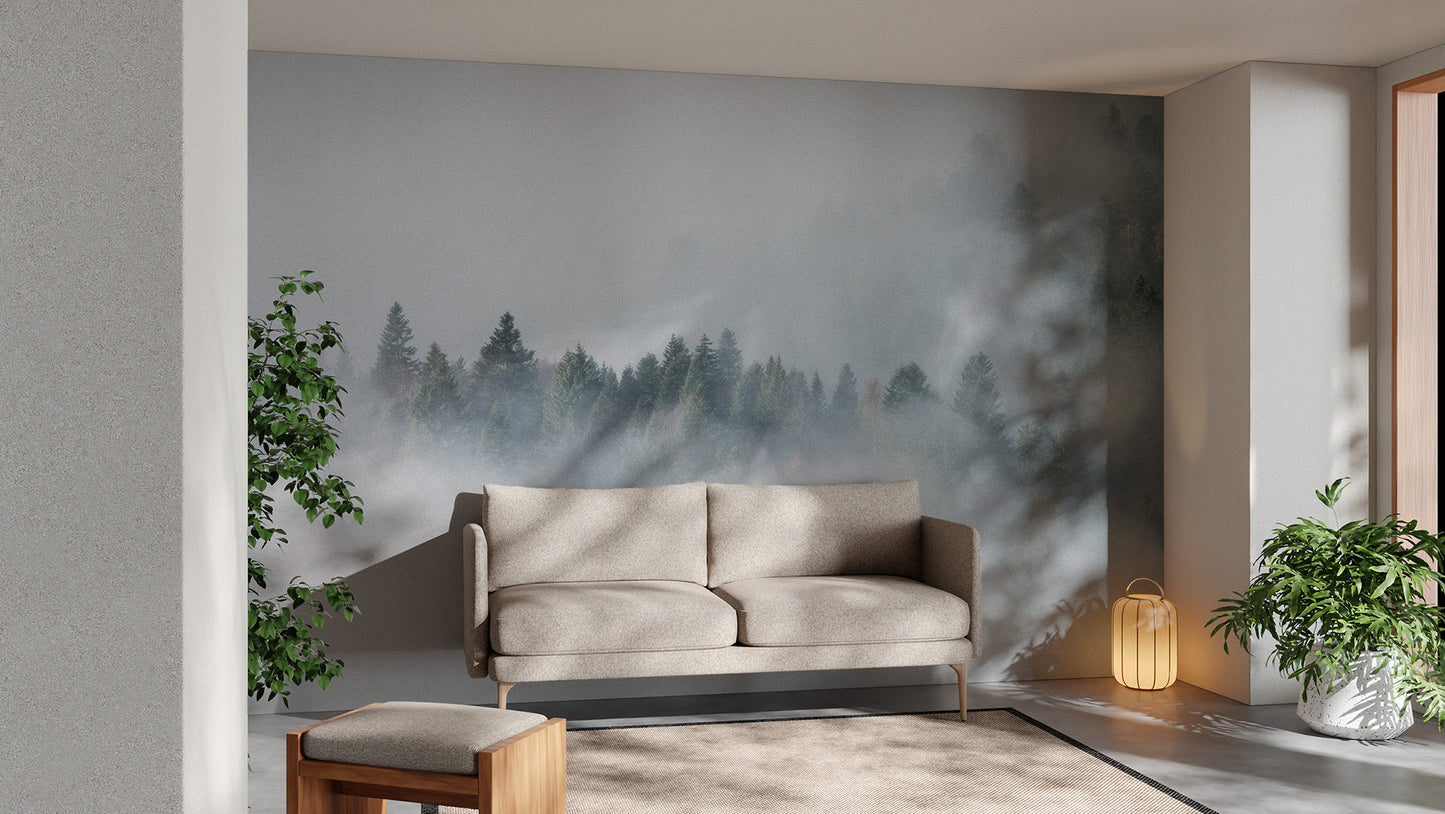 Dark Dense Foggy Pine Forest Wallpaper Murals - Giffywalls