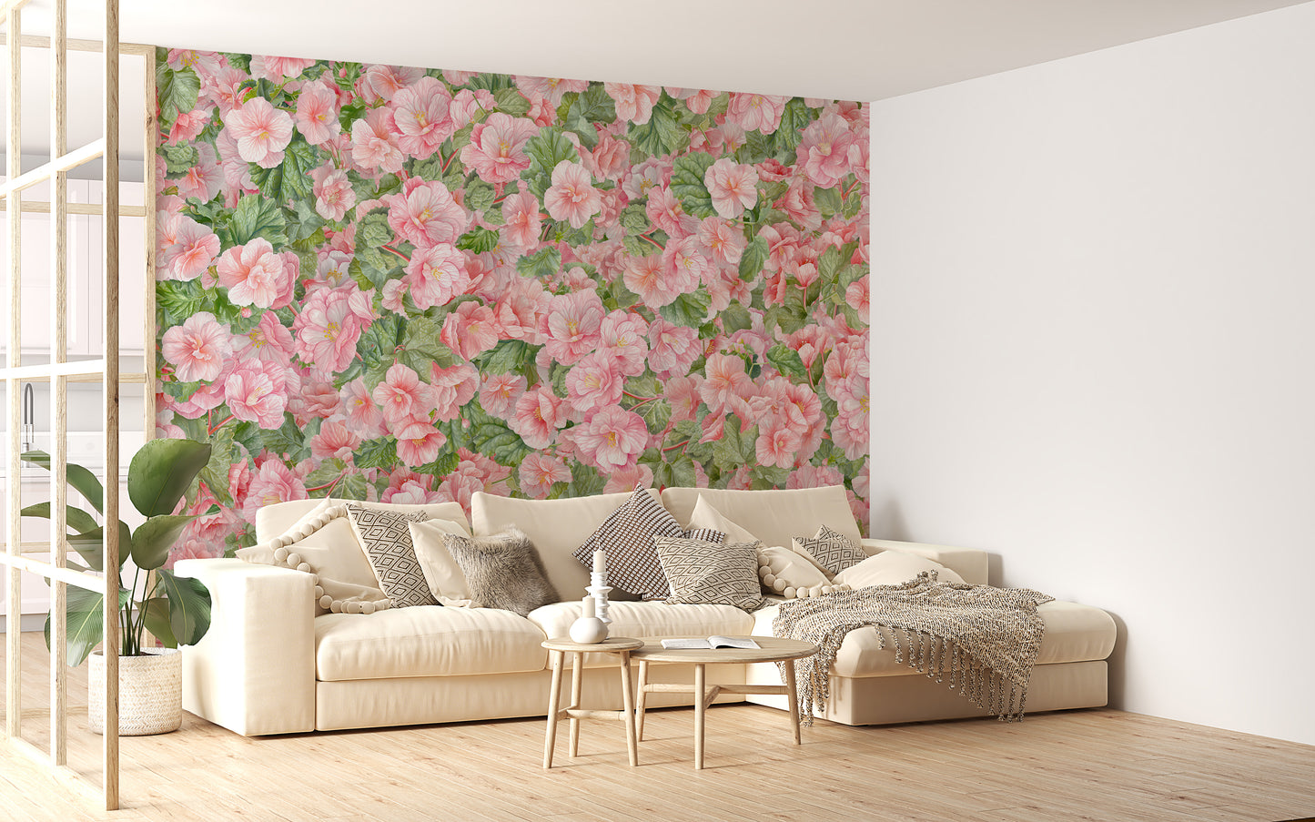 Pink Begonia Flower Wallpaper Murals