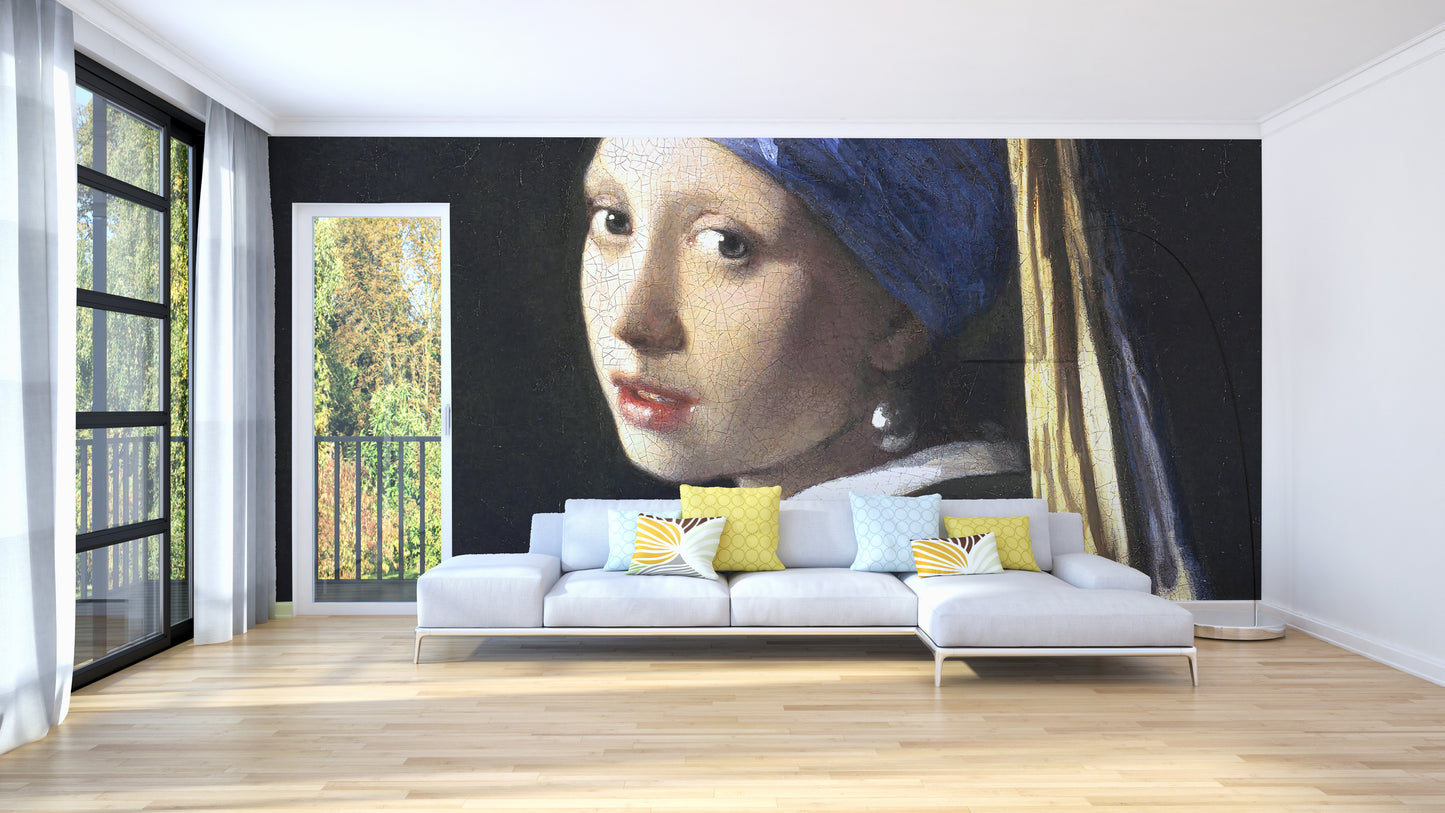 Girl Pearl Earring Wallpaper Murals