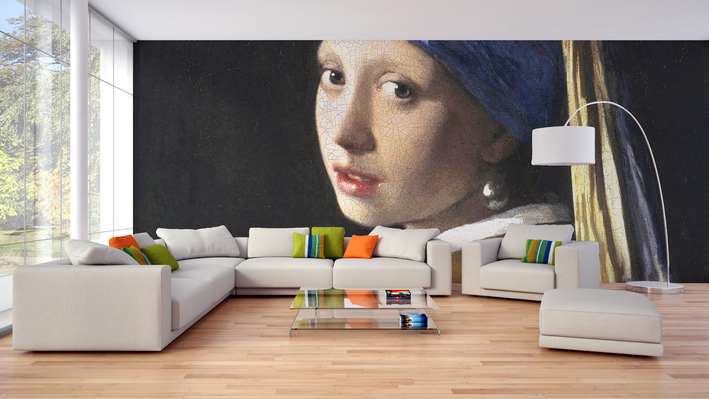 Girl Pearl Earring Wallpaper Murals