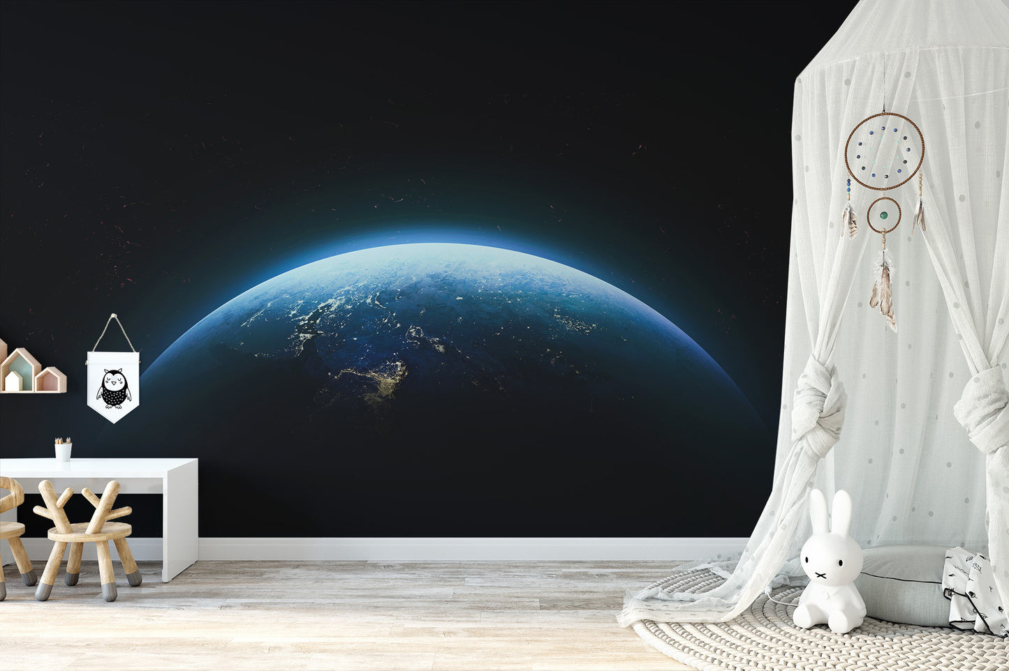 Earth From Space Wall Mural