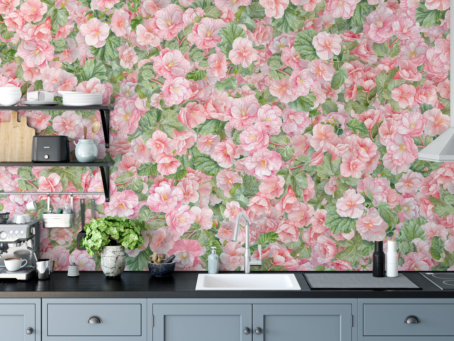 Pink Begonia Flower Wallpaper Murals