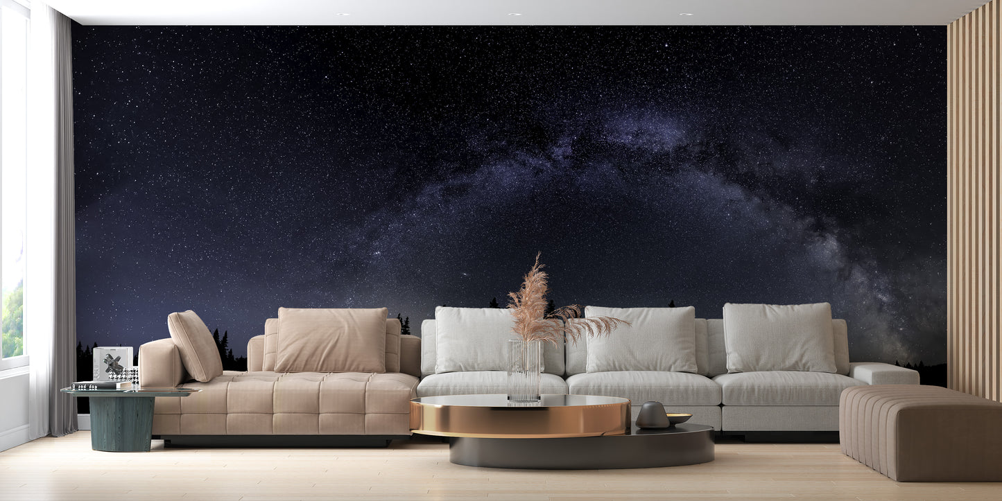 Milky Way Starry Night Wallpaper Mural