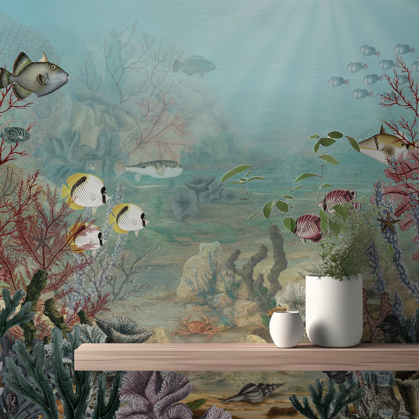 Underwater Corel reef wallpaper for walls