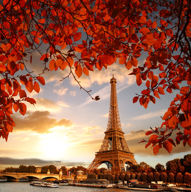 Eiffel Tower Autumn Leaves Wallpaper Murals - Giffywalls