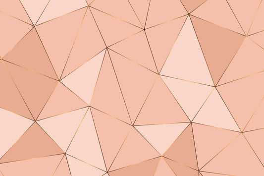 Peach Geometric Harmony Wall Mural