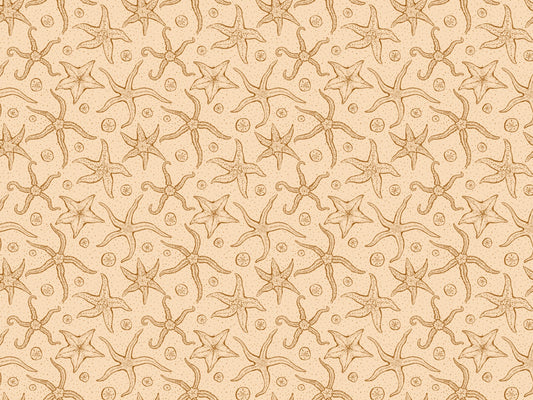 Warm Brown Echinoderms Wallpaper